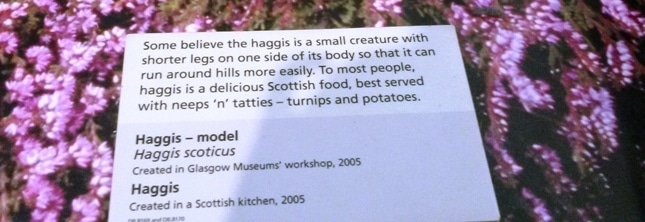 haggis au kelvin grove museum etiquette